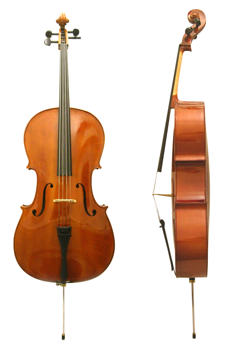Front/Side View of Cello w/ Stand