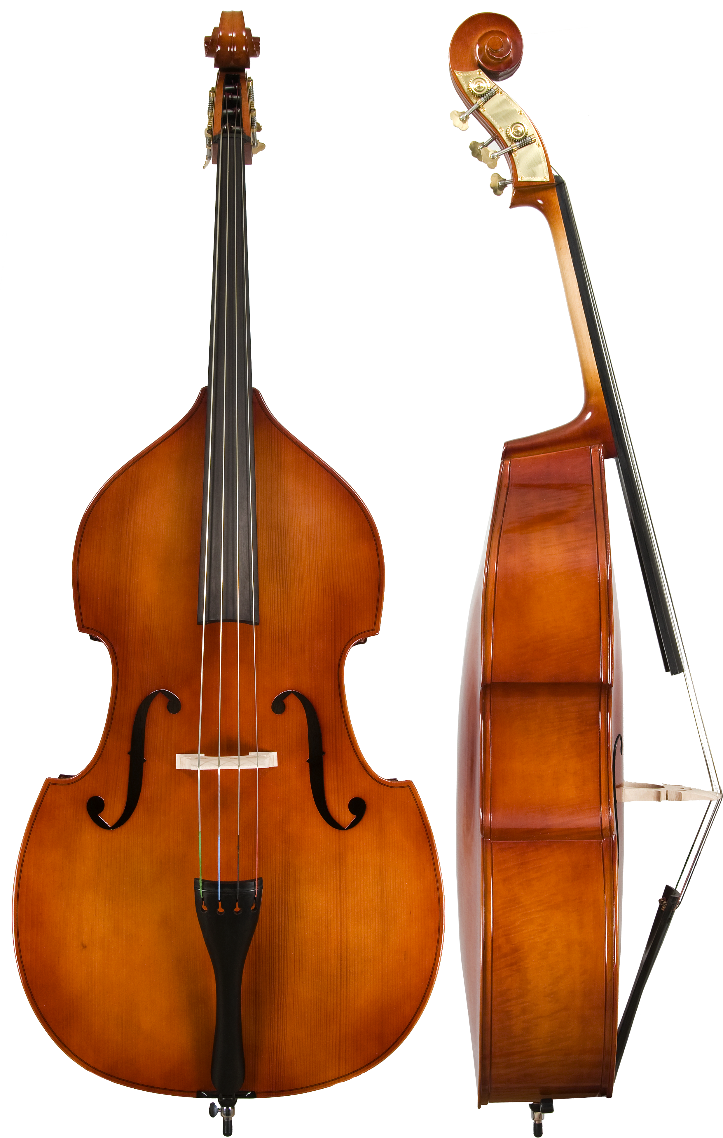 Front/Side View of Double Bass